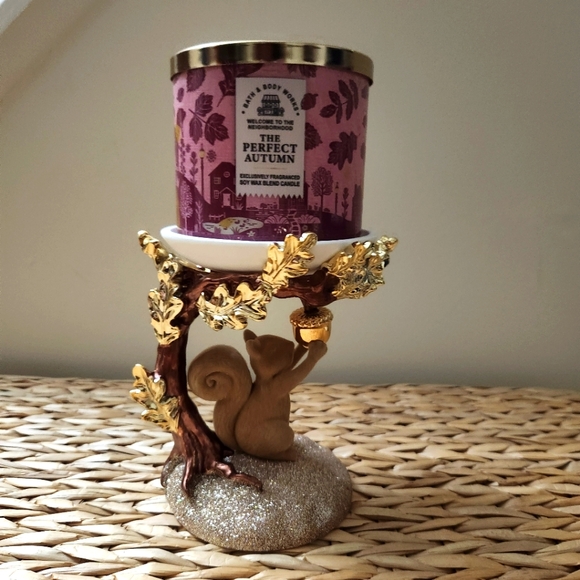 🌰New Bath and Body Works Squirrel Fall 3 Wick Candle Holder & Candle Decor 2024 - Picture 2 of 10